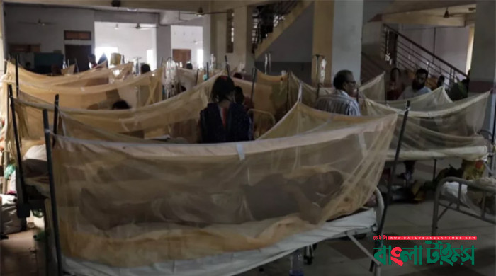 দেশে ডেঙ্গুতে ২ জনের মৃত্যু, আক্রান্ত ৬৬১